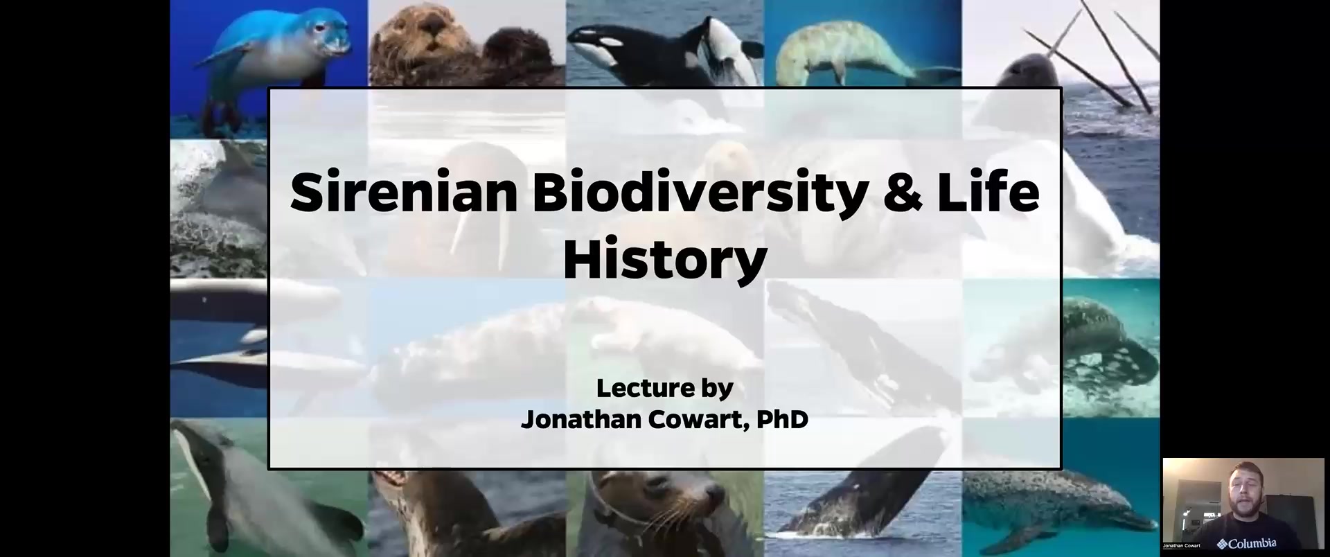 Sirenian Biodiversity & Life History